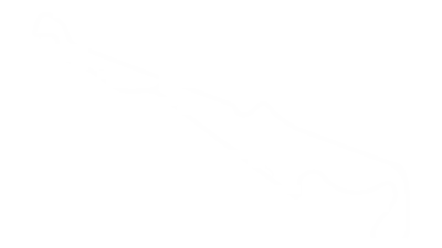 Trazado de Circuit Paul Ricard
